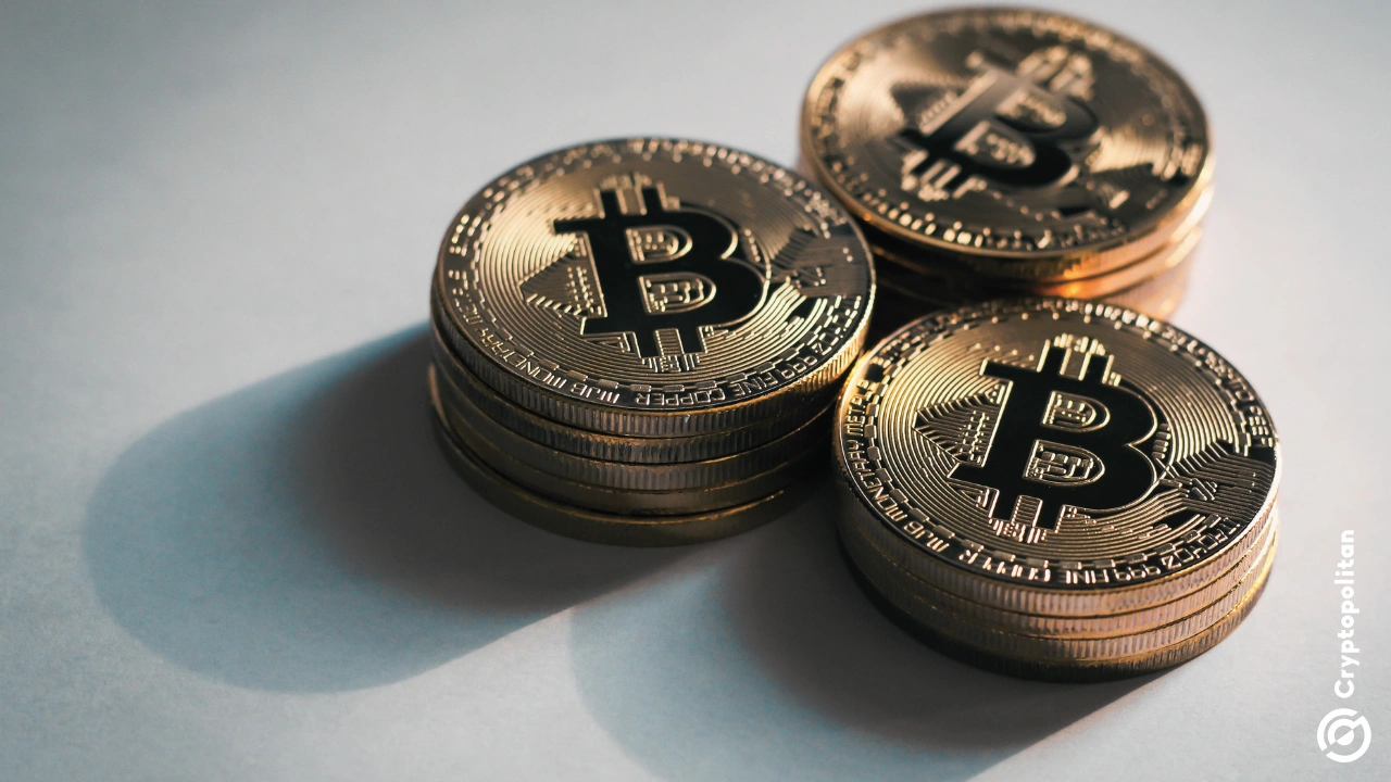 Animoca Brands 与 DDC Enterprise 合作,共同筹备 1 亿美元 BTC 储备库计划.
