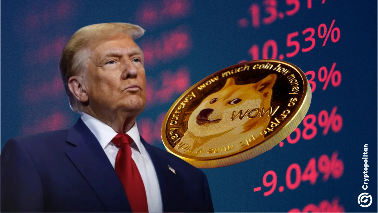 特朗普上任后Memecoin市场暴跌50%+