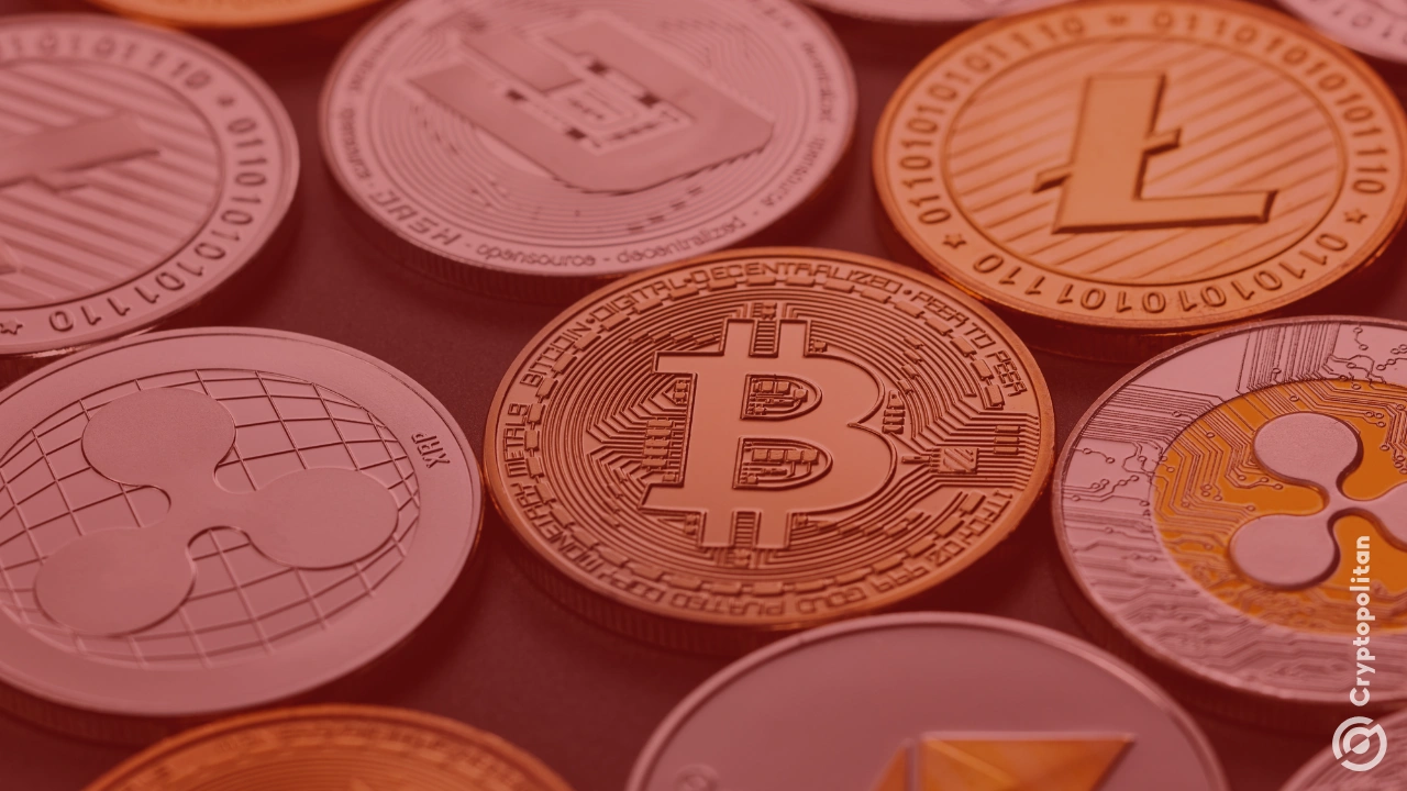 比特币,XRP和SOL遭受亏损,市场因等待美联储税率决定而不安