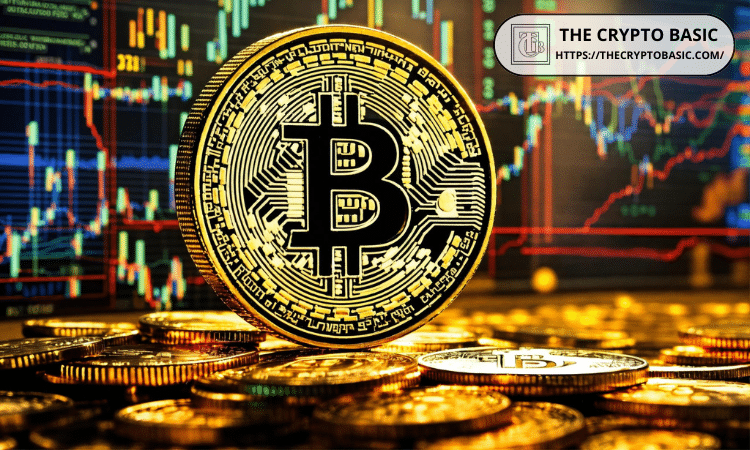 比特币进入最后冲刺阶段尚未结束:顶级分析师深度解读