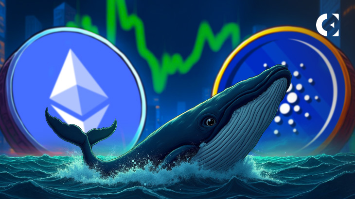 最新数据显示:散户恐慌抛售,鲸鱼大手笔囤积 ETH 和 ADA
