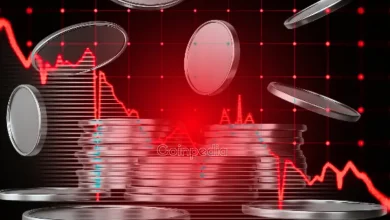 Doctor Profit 警告：2026 年市场崩盘，揭示比特币关键价格水平