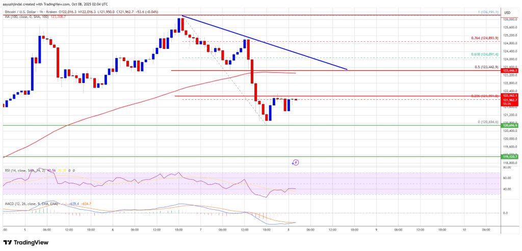 Bitcoin Price Drops from Highs – Is the Market Signaling a Short-Term Peak?