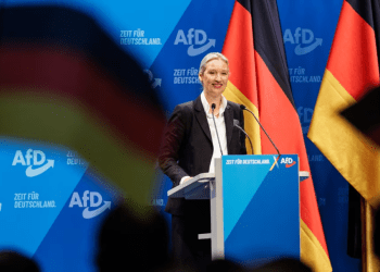德国另类选择党（AfD）认为：“比特币独树一帜，与其他加密货币不同”