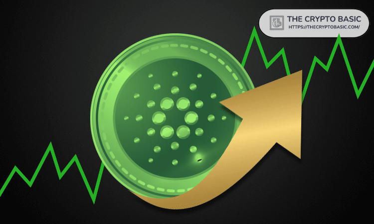 分析师预测：Cardano可能上涨10%至100%