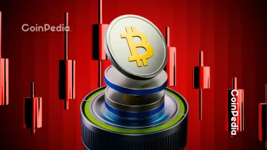 11月比特币下跌24%，山寨币仍稳健表现。